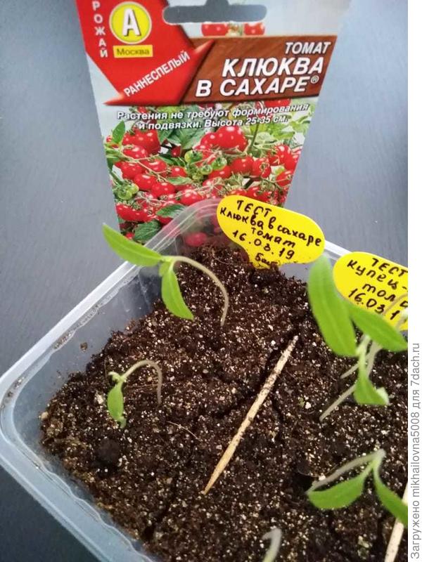 2 растения