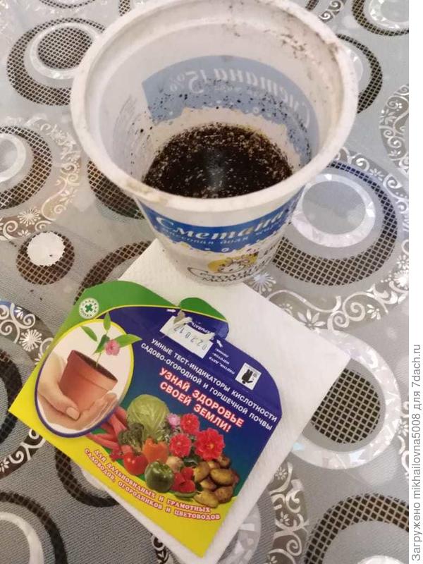 тест полоски