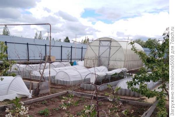 Парник на высокую грядку своими руками. Мастер-класс с фото