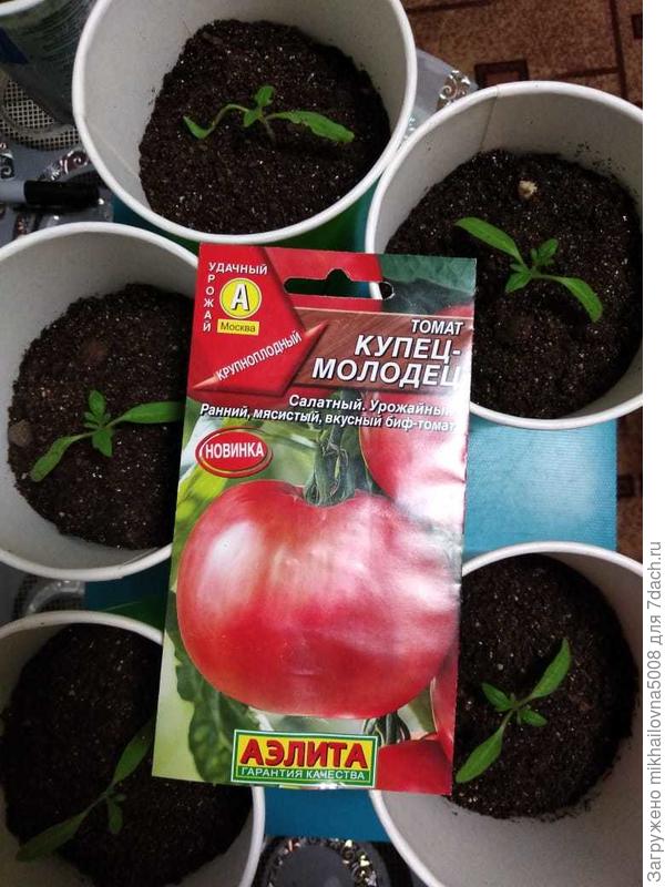 После пикировки