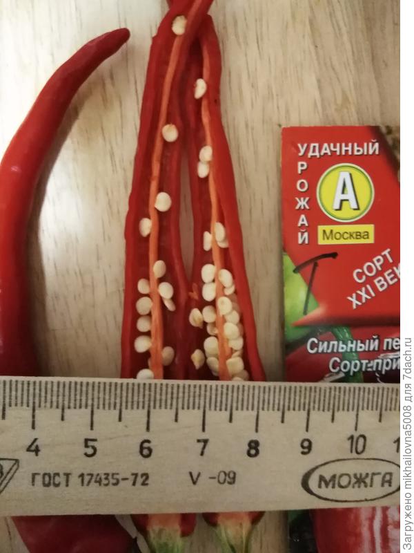 В разрезе