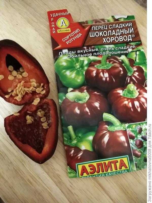 В разрезе