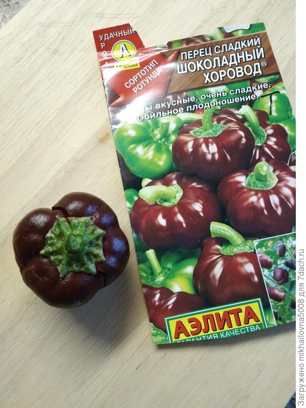 Шоколадка