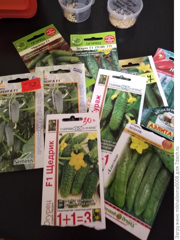 Огурчики, тоже прошлый год