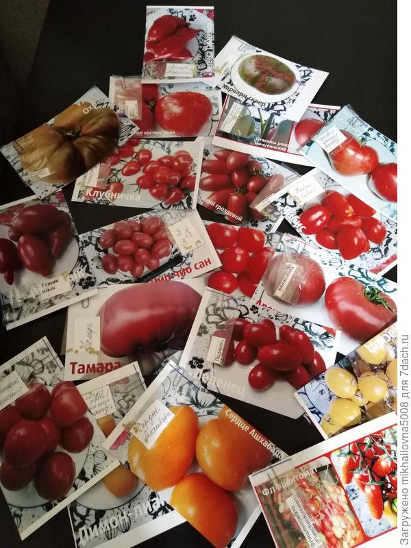 Минусинские семена