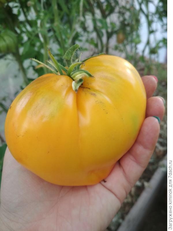 Прямо сердечко)))