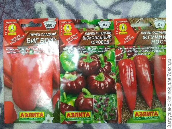 Перчики буду сажать в ближайшее время.