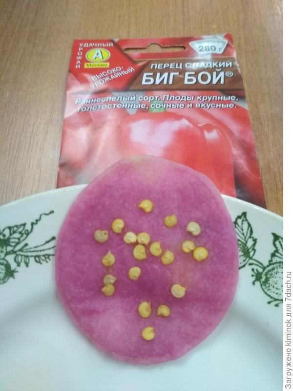 Замачивание. 2222.02.2019 г.