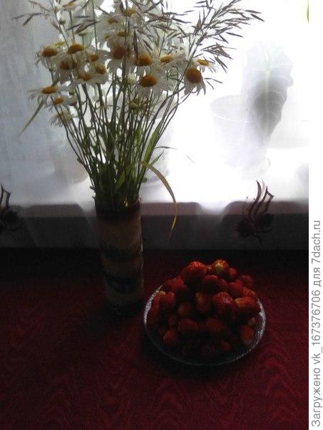 Дорогие мой все со мной согласны ,что этого так не хватает зимой