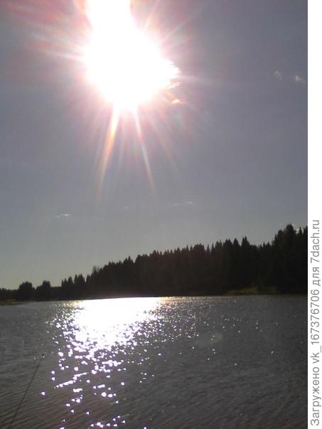 Ох сейчас бы искупаться