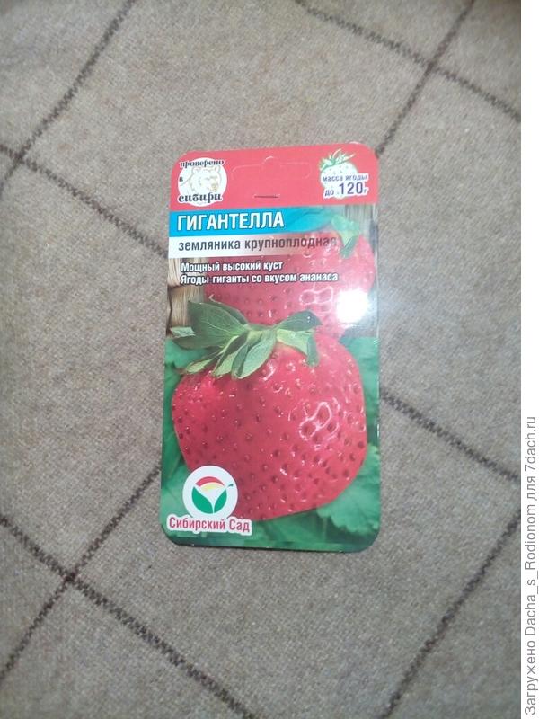 Семена