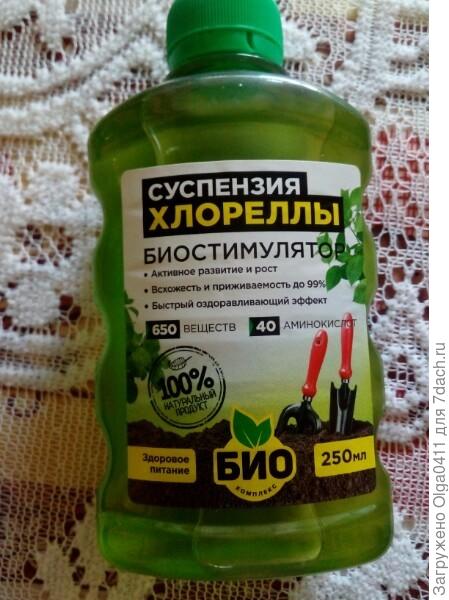 Суспензия хлореллы