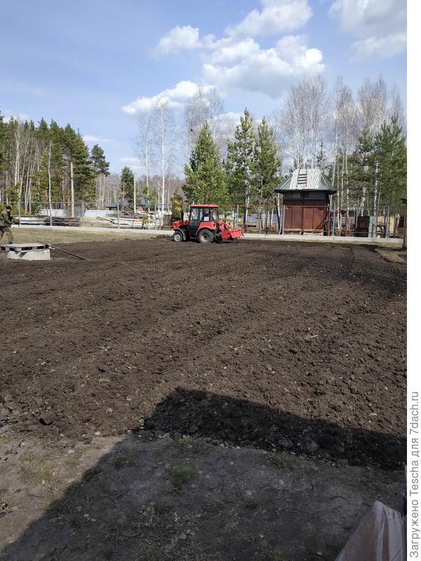 Такой вид и цвет грунта и повлиял на мое решение.