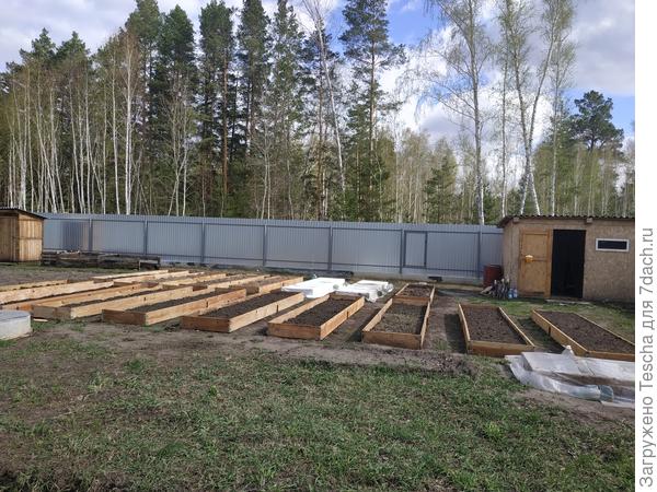 Вот так выглядит мой огород сегодня.