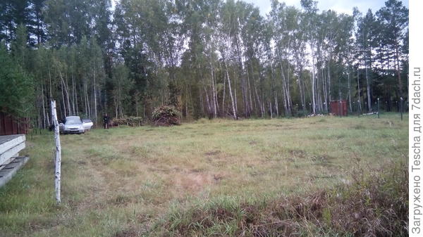 Выкорчеваны деревья и выровнен