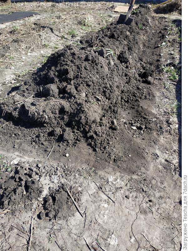 Подготавливаю грядки для установки ограждения