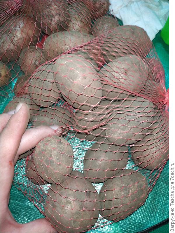 Разница размеров