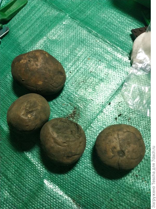 Гнилые настолько, что пахнут