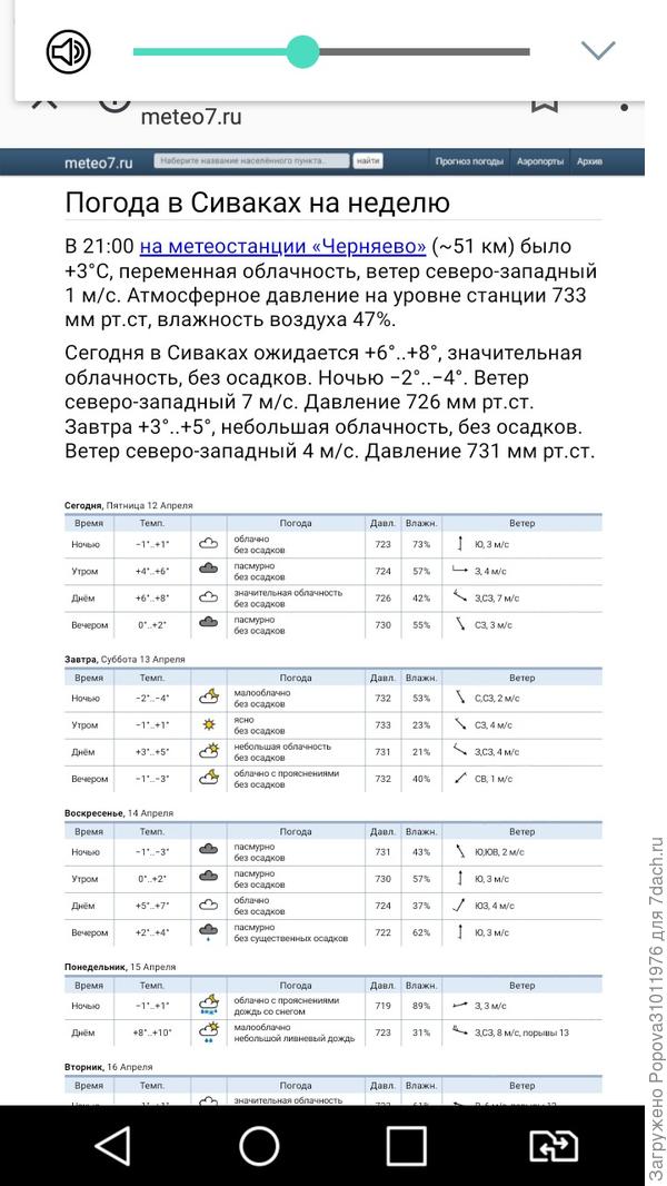 Наши Сиваки Амурская область
