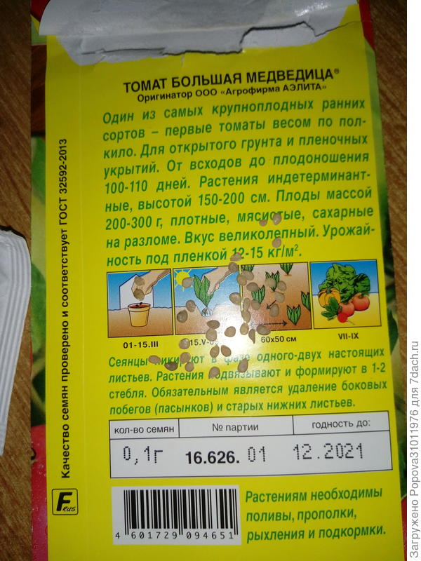В пакете 0,1 гр я насчитала около 40 семян