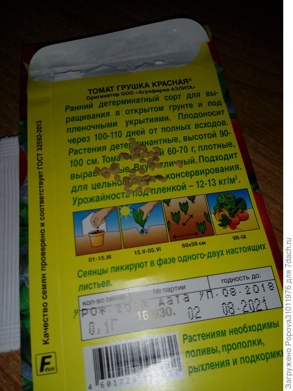 В пакете семян 0,1 гр я насчитала около 47 штук .