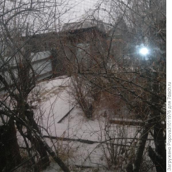 Снег 20 апреля