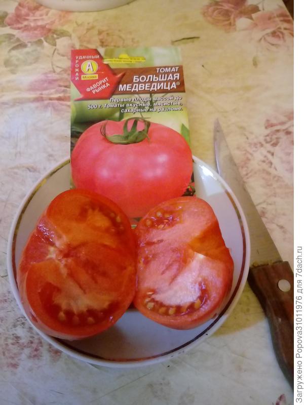 Большая медведица в разрезе