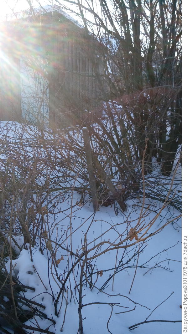 Амурская область