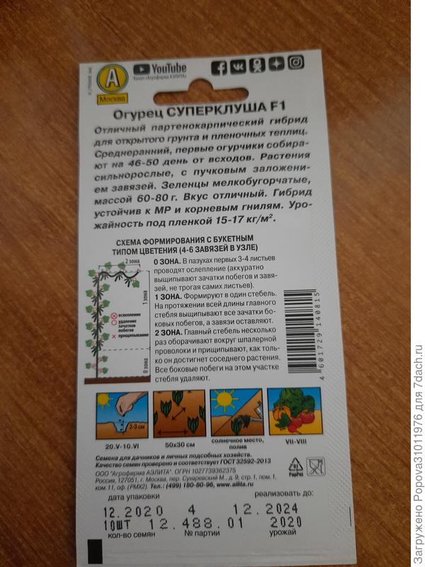 Огурец Суперклуша
