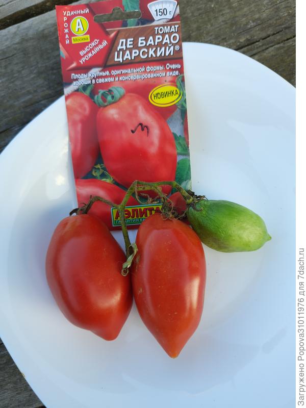 Де барао Царский