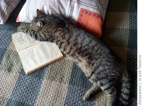 Наука кого угодно утомит