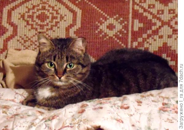 Маруся -самая лучистая