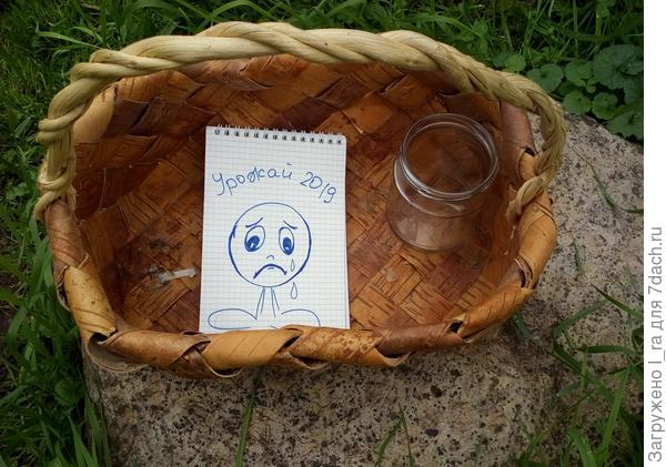 Какое лето,такой и урожай....