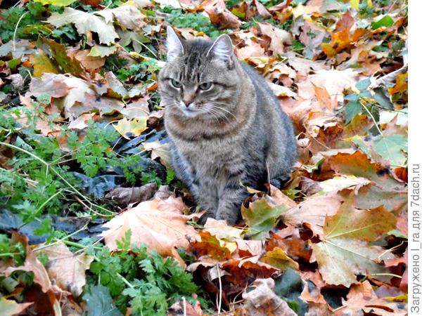 Степанида уже собралась