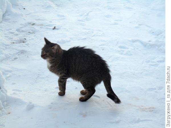 Такой пришла к нам Маруся