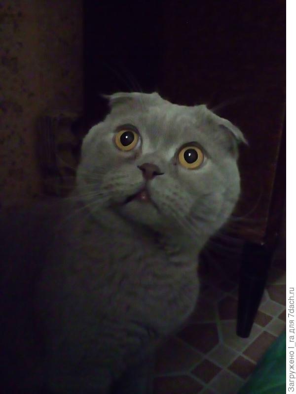 Ясь, полное имя не выговорю.