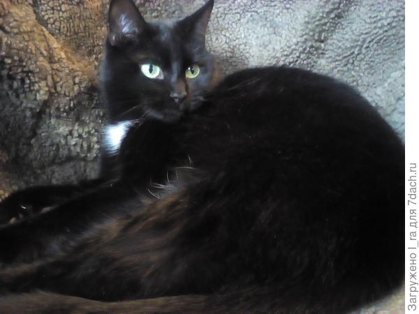 Милка передает привет