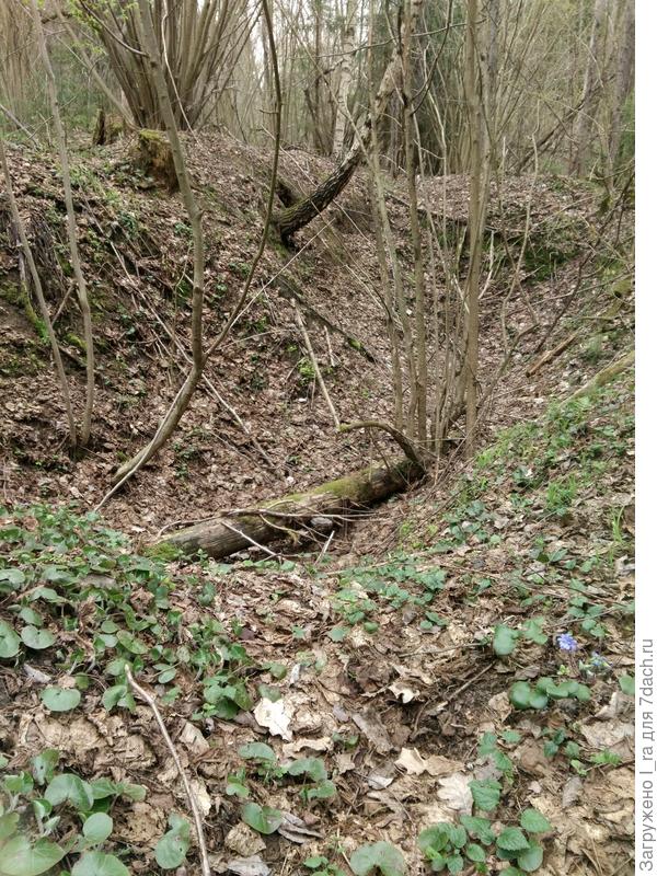 Блиндаж. Фото с другого ракурса.