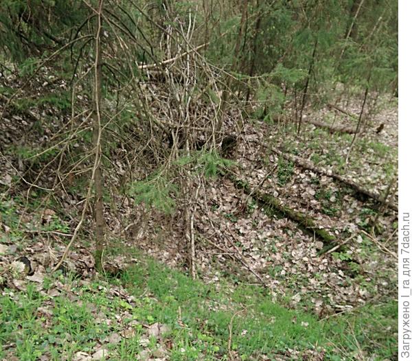 Здесь было орудие. Таких ям насчитали восемь штук.