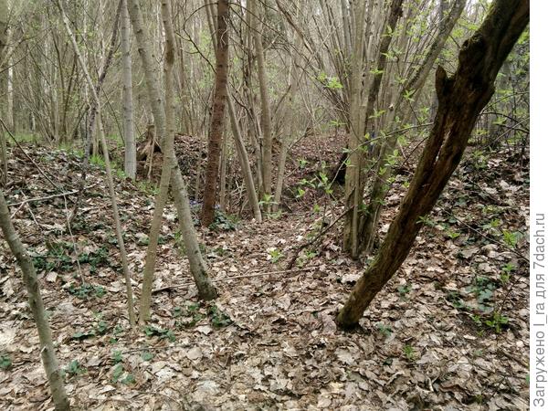 Блиндаж. Заметен вход в него.