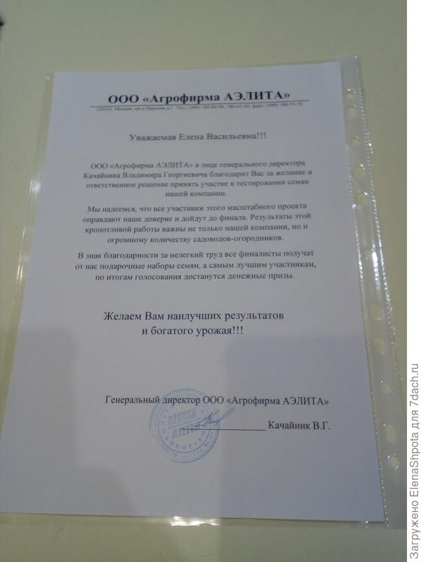 письмо от руководства