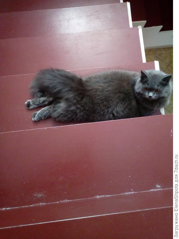 ну когда уже на улицу пойду?