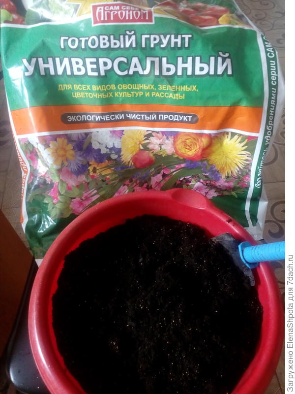 грунт универсальный