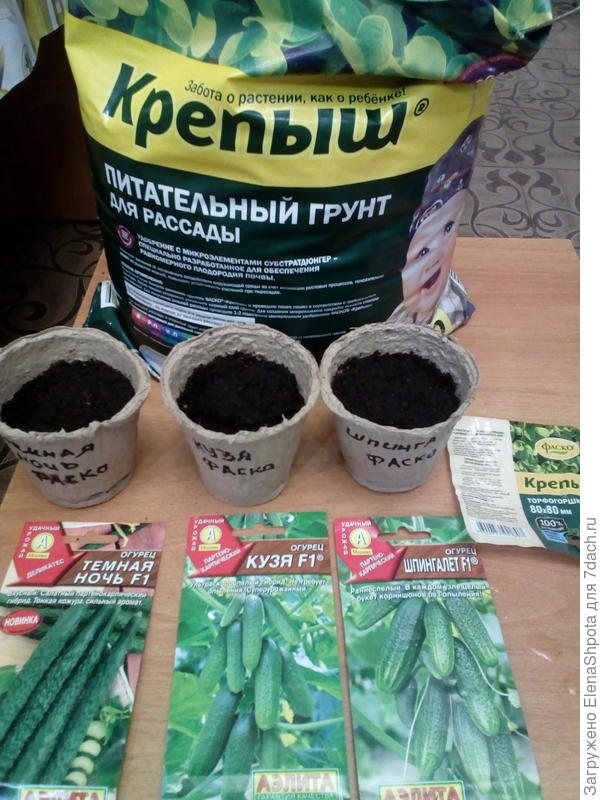 стаканчики и грунт фаско