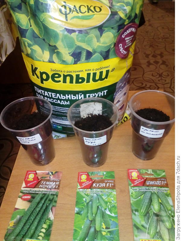 стаканчики и грунт Фаско