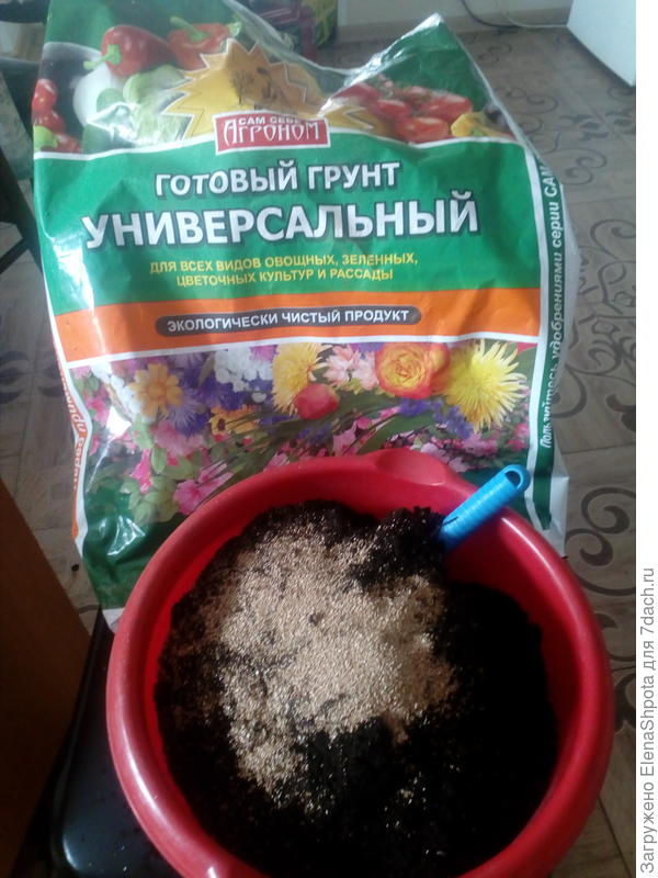 грунт