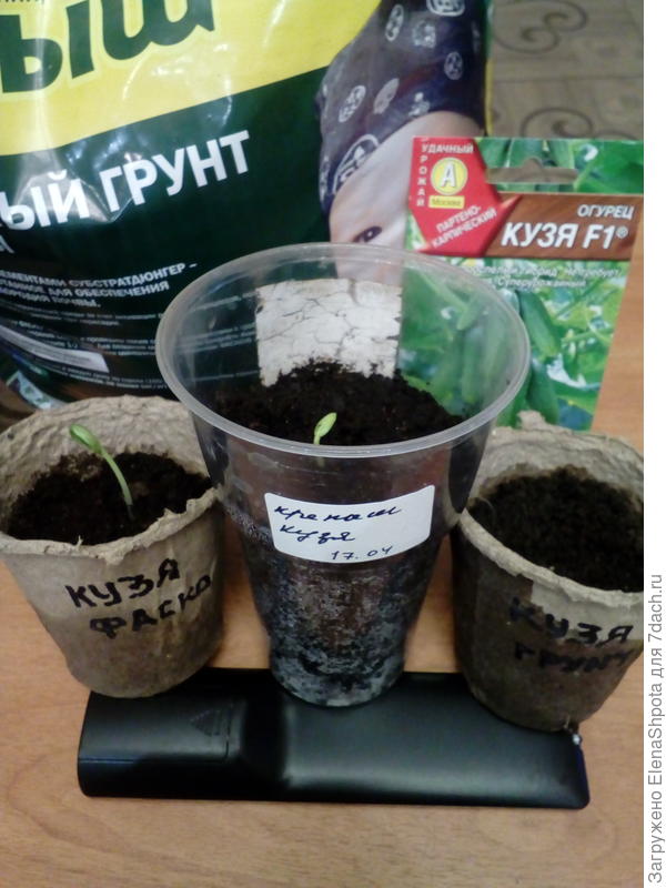 Кузя