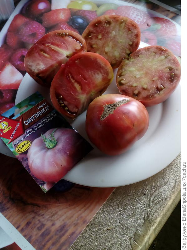на разрезе