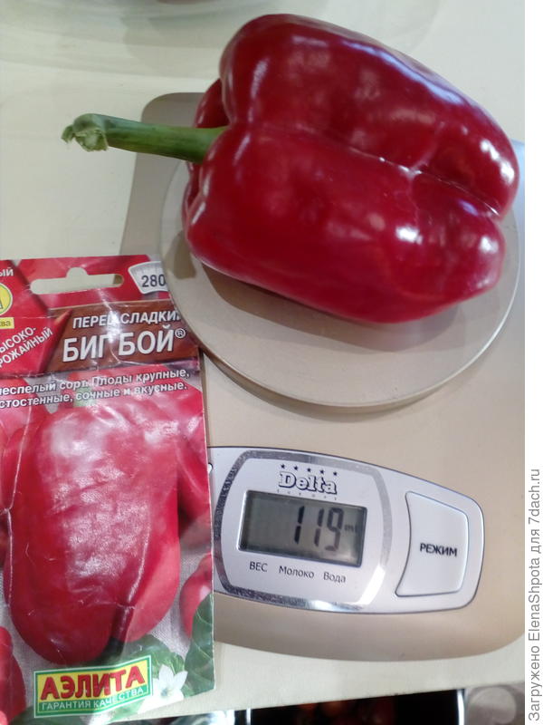 Перец Биг бой