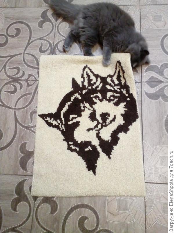 Буся принимает работу